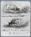 Fly Time (from McGuire Scrapbook), Shepard Alonzo Mount (1804–1868), Graphite on off-white heavy-weight wove paper, American